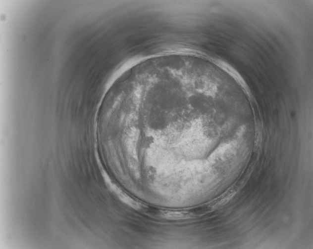 X0000085251439200703231638