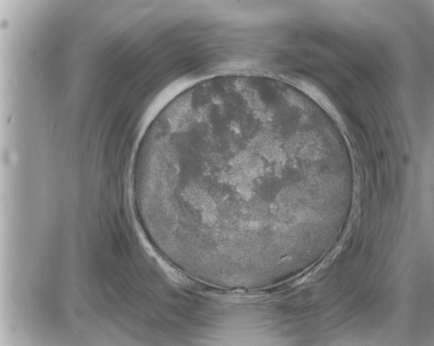 X0000085251440200703231638