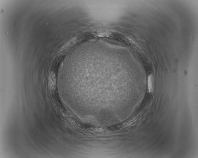 X0000085251443200703231638