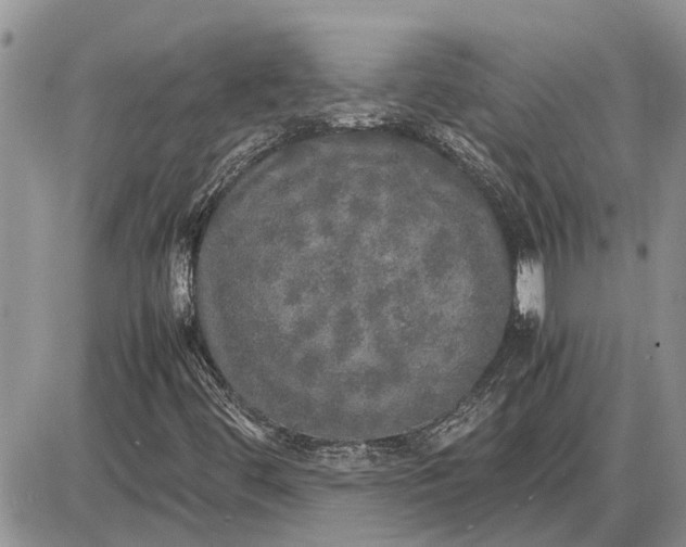 X0000085251444200703231637