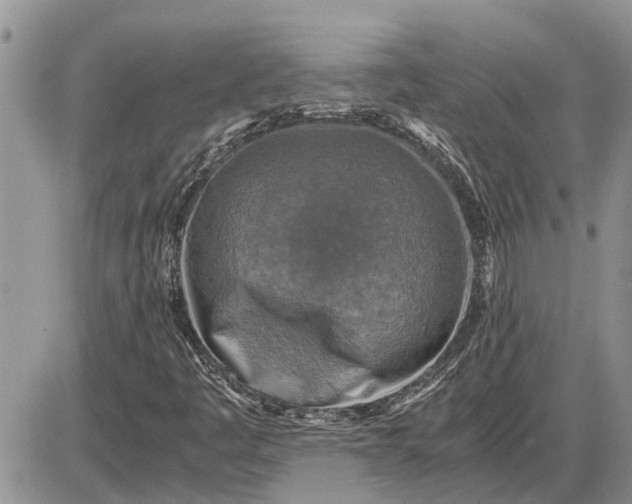 X0000085251445200703231637