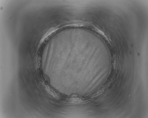 X0000085251448200703231637