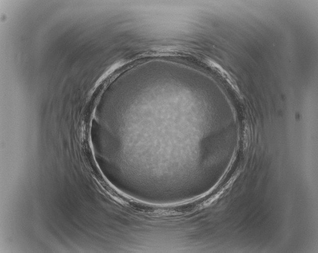 X0000085251449200703231637