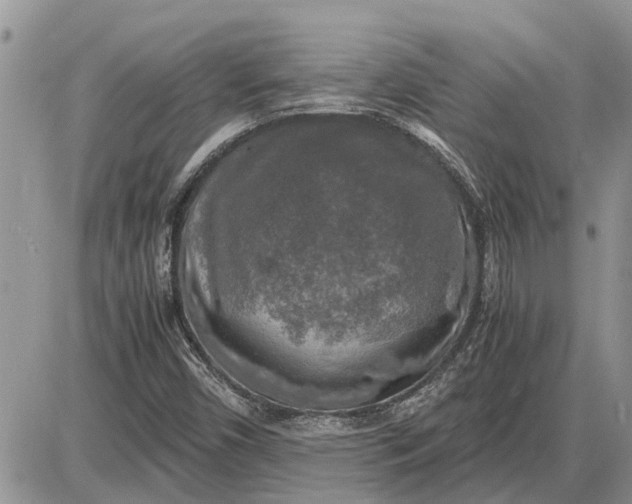 X0000085251450200703231637