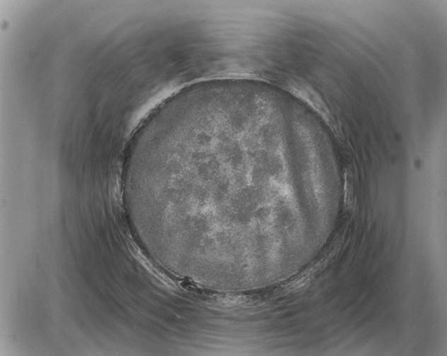 X0000085251452200703231637