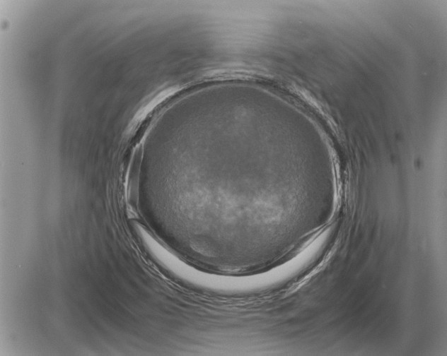 X0000085251453200703231637