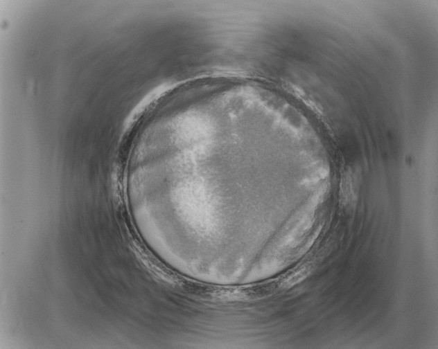 X0000085251454200703231637