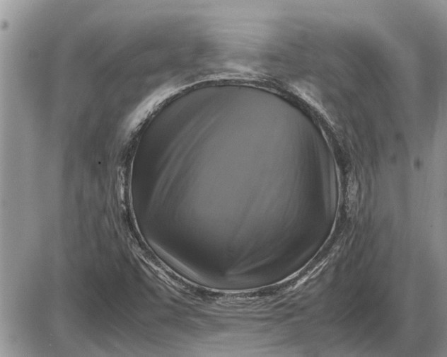 X0000085251455200703231637