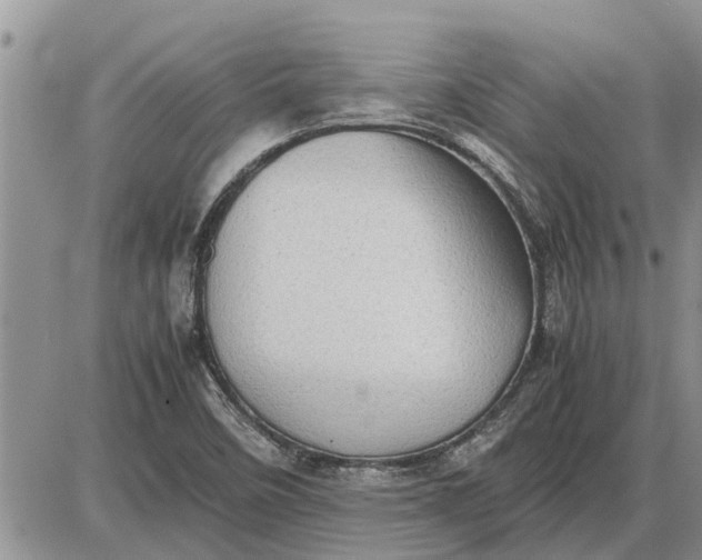 X0000085251458200703231637