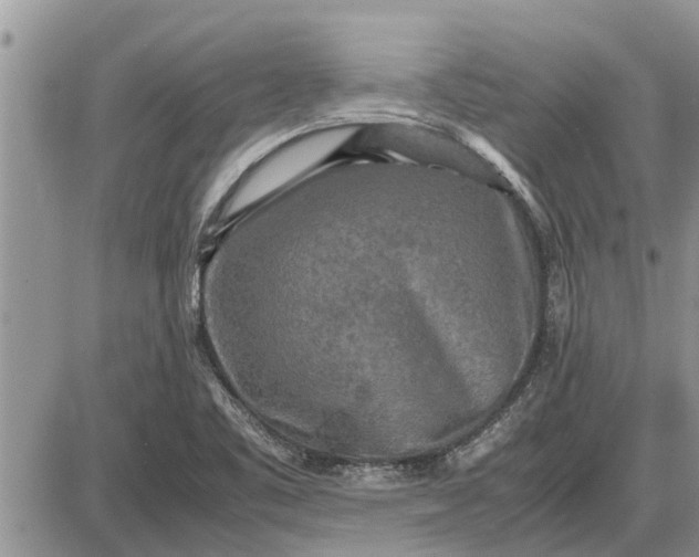 X0000085251461200703231637