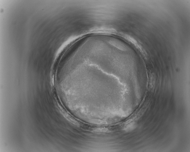 X0000085251462200703231637