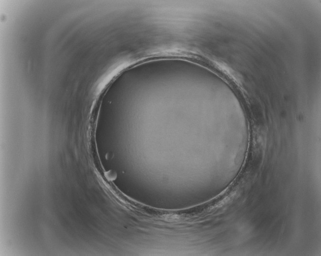 X0000085251463200703231637