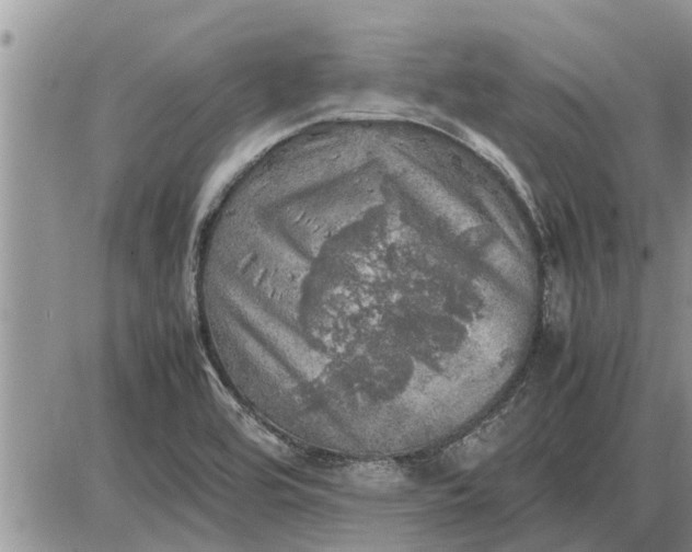 X0000085251464200703231637