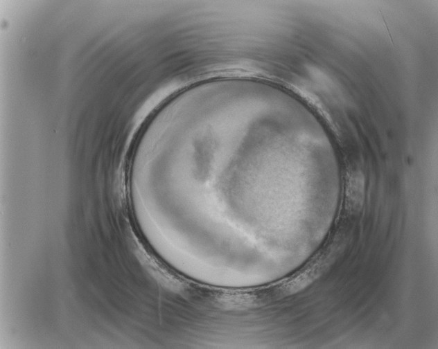 X0000085251466200703231637