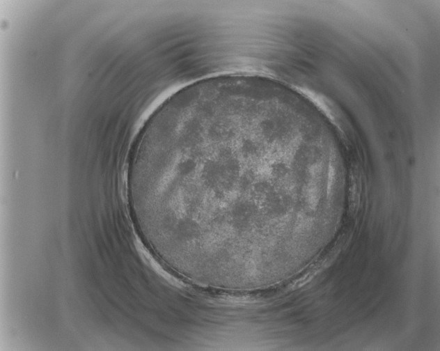 X0000085251468200703231637