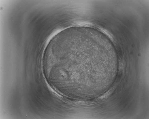 X0000085251471200703231637