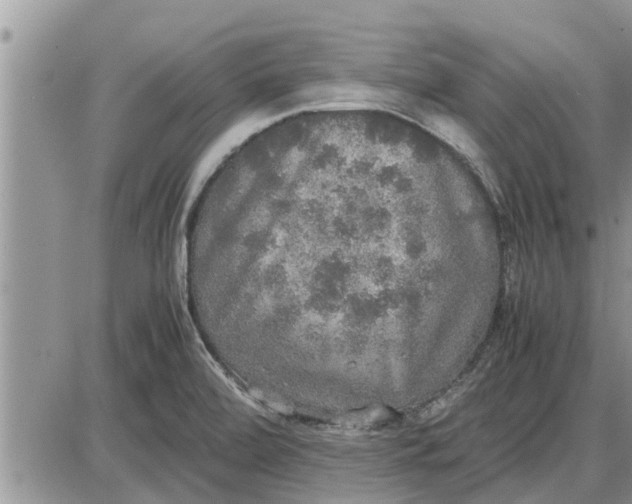 X0000085251472200703231637