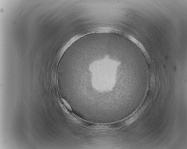 X0000085251473200703231637