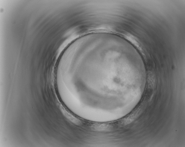 X0000085251474200703231637