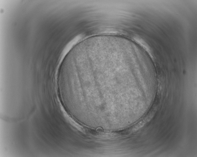 X0000085251475200703231637