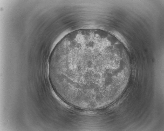 X0000085251476200703231637