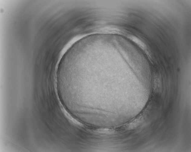 X0000085251478200703231637