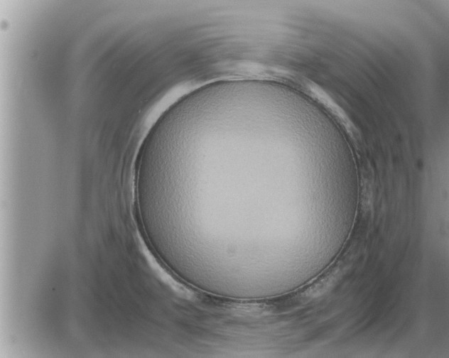 X0000085251479200703231637