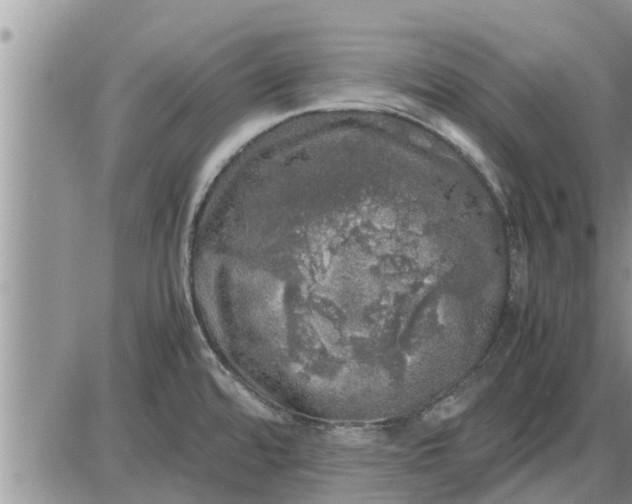 X0000085251480200703231637