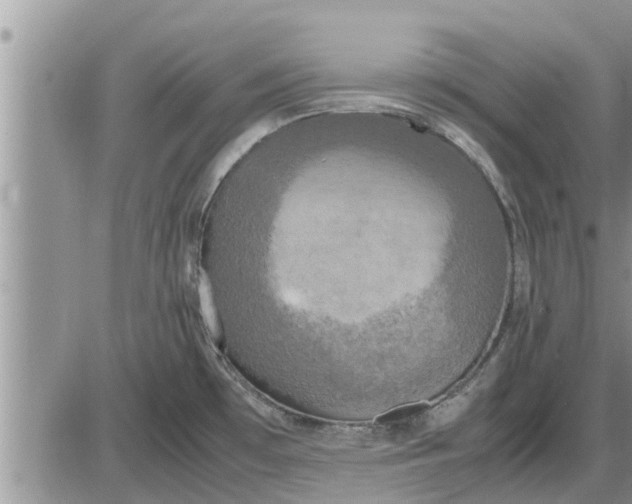 X0000085251481200703231637