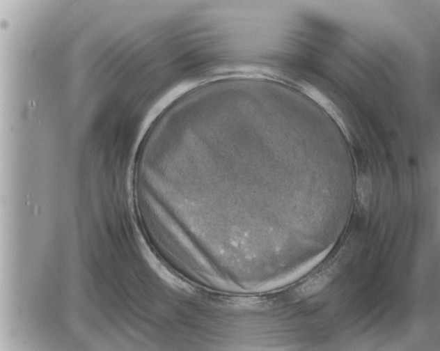 X0000085251482200703231637