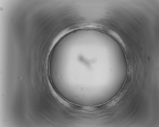 X0000085251483200703231637