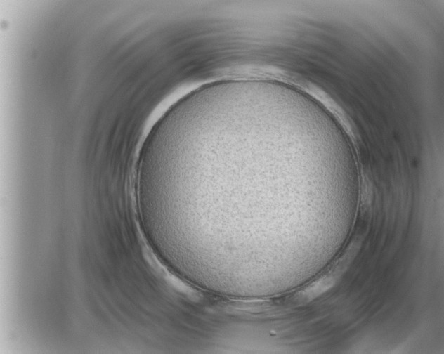 X0000085251486200703231637