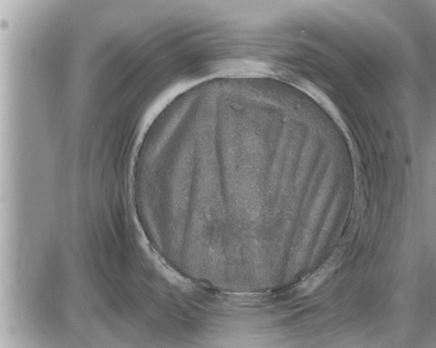 X0000085251488200703231637