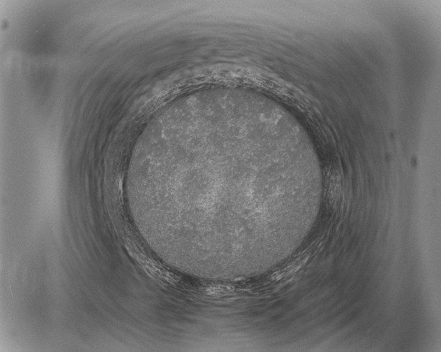 X0000085251489200703231636