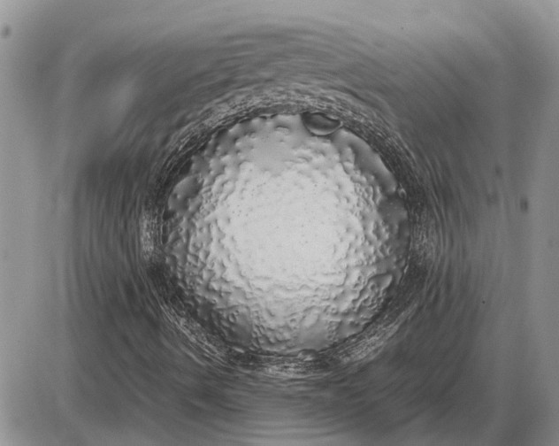 X0000085251490200703231636