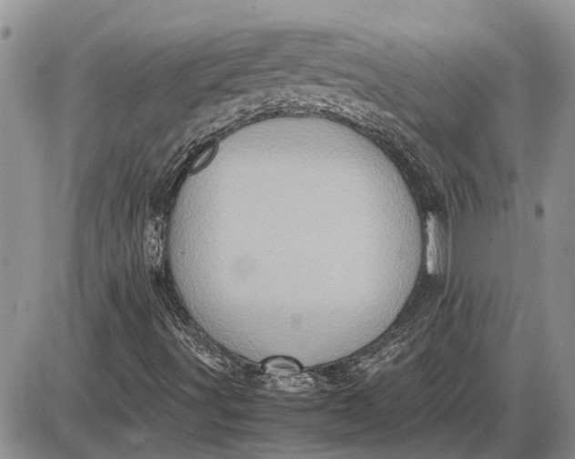 X0000085251491200703231636