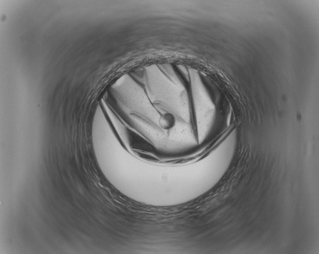 X0000085251492200703231636