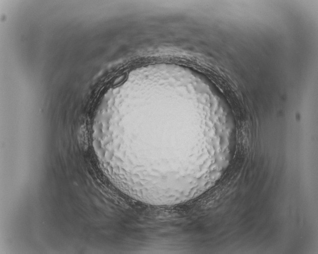 X0000085251493200703231636