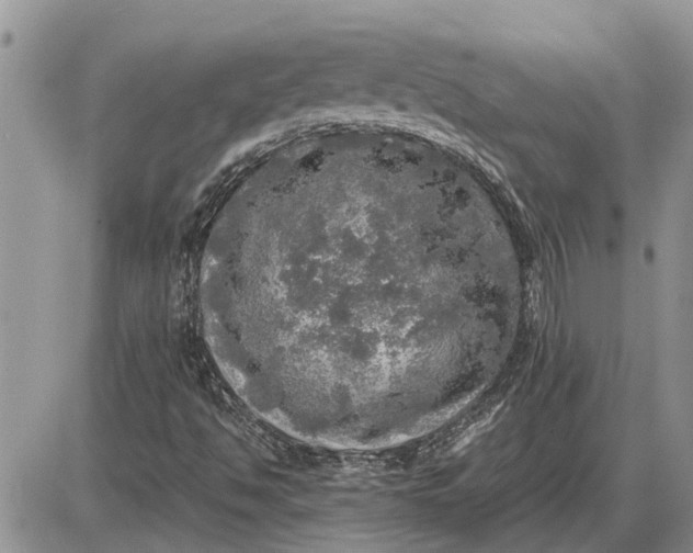 X0000085251494200703231636