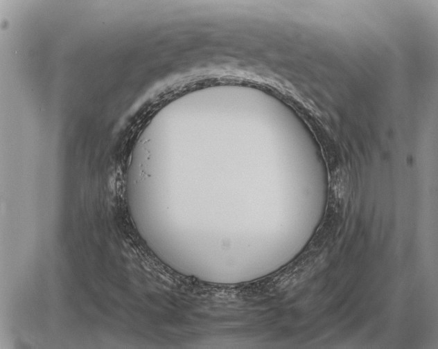 X0000085251495200703231636