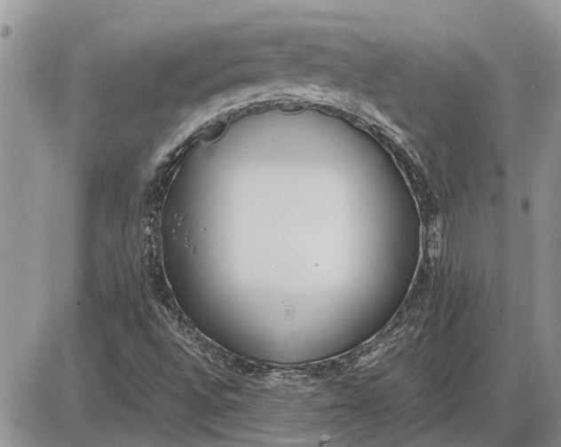 X0000085251496200703231636