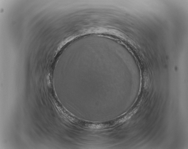 X0000085251497200703231636