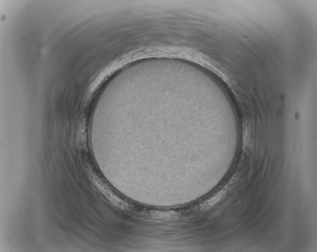 X0000085251498200703231636