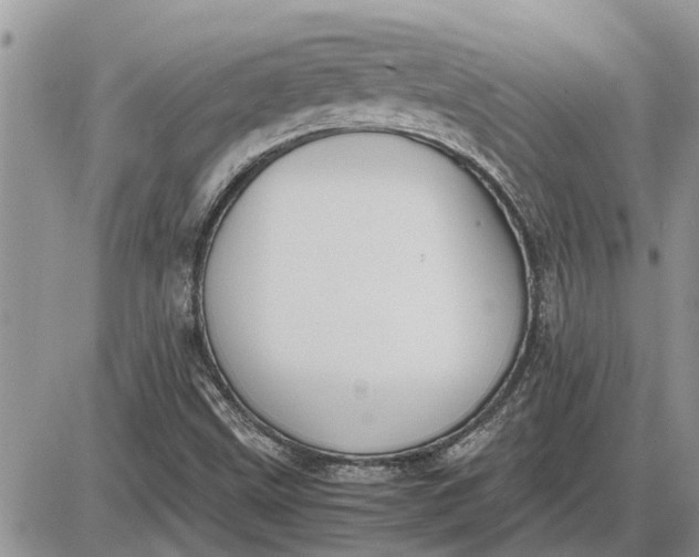 X0000085251499200703231636