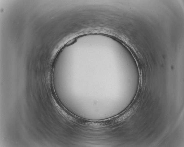 X0000085251500200703231636