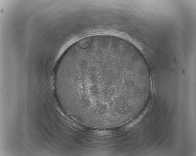 X0000085251501200703231636