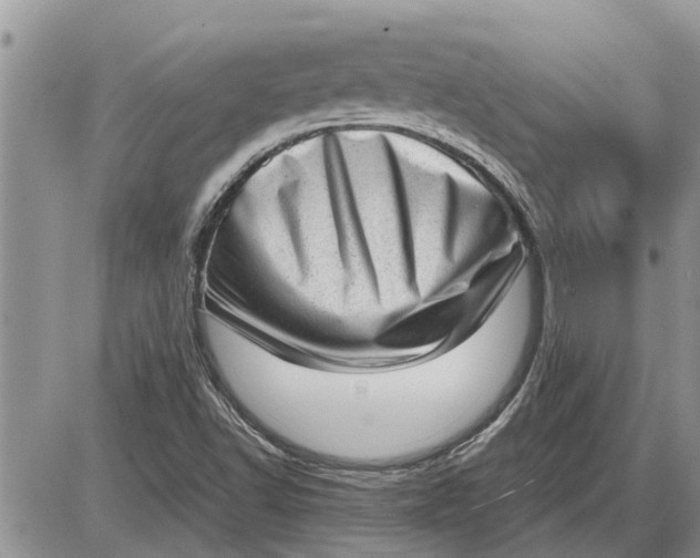 X0000085251502200703231636