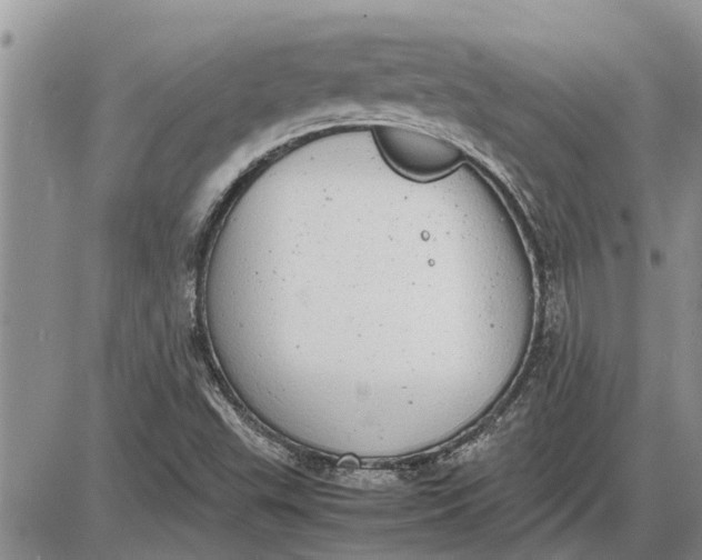 X0000085251503200703231636