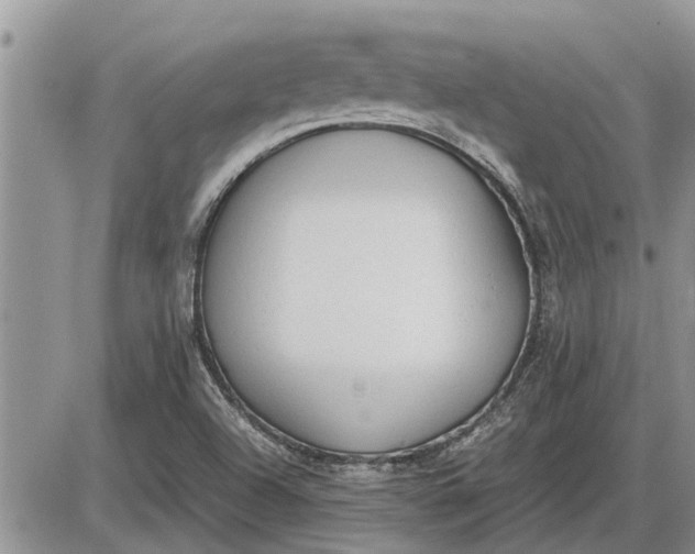 X0000085251504200703231636