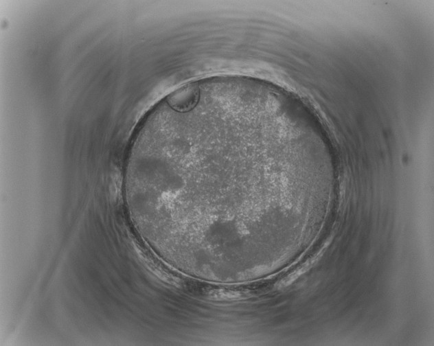 X0000085251505200703231636